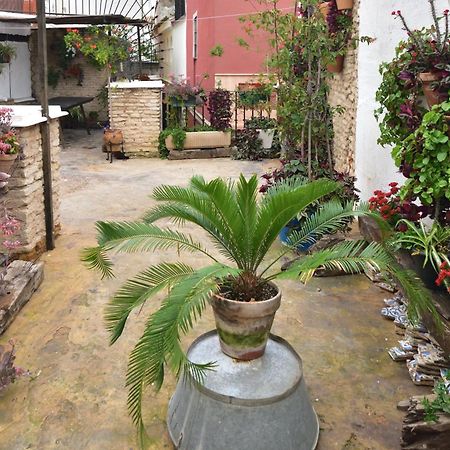 Casa Tenorio Barrio De Santa Cruz Севилья Экстерьер фото
