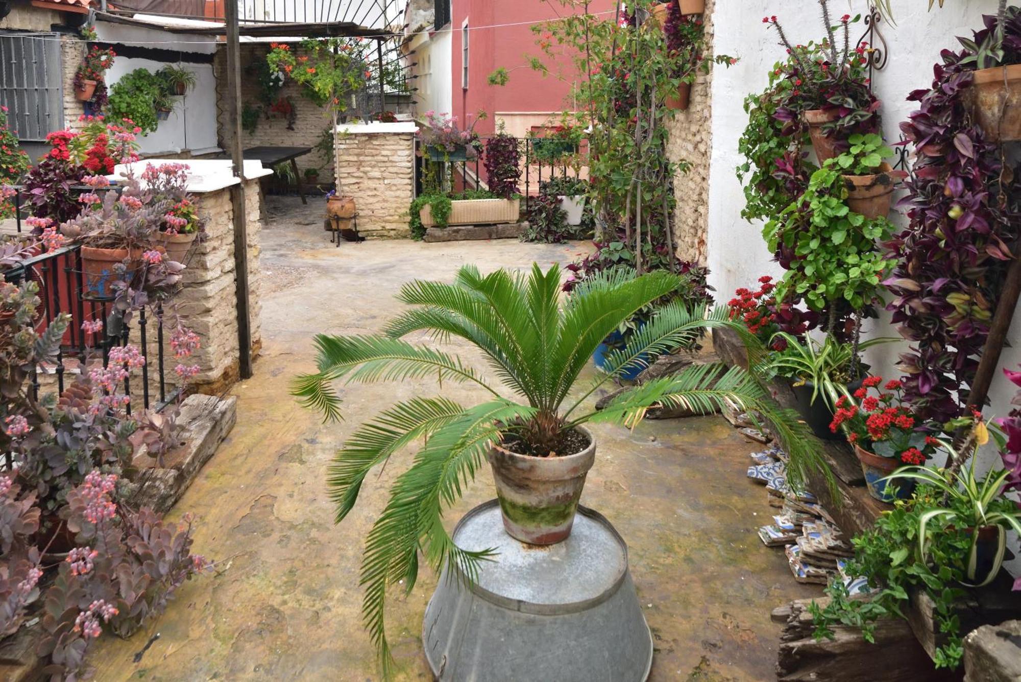 Casa Tenorio Barrio De Santa Cruz Севилья Экстерьер фото